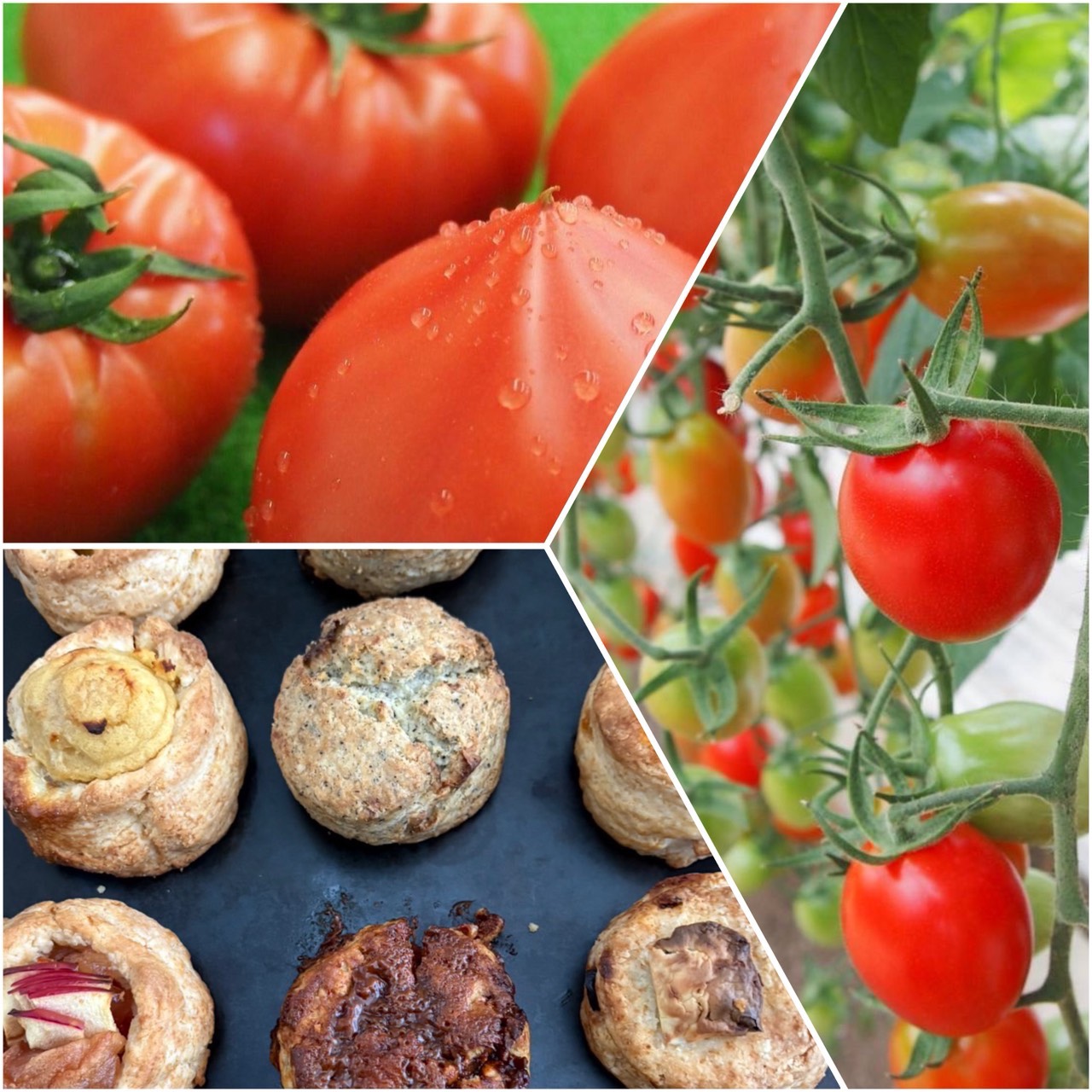 野菜・特産品の販売