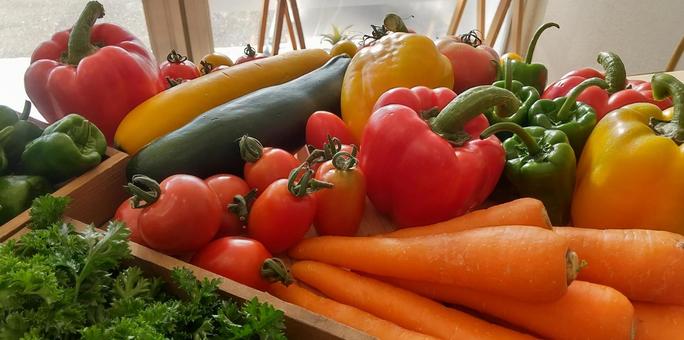 野菜・特産品の販売